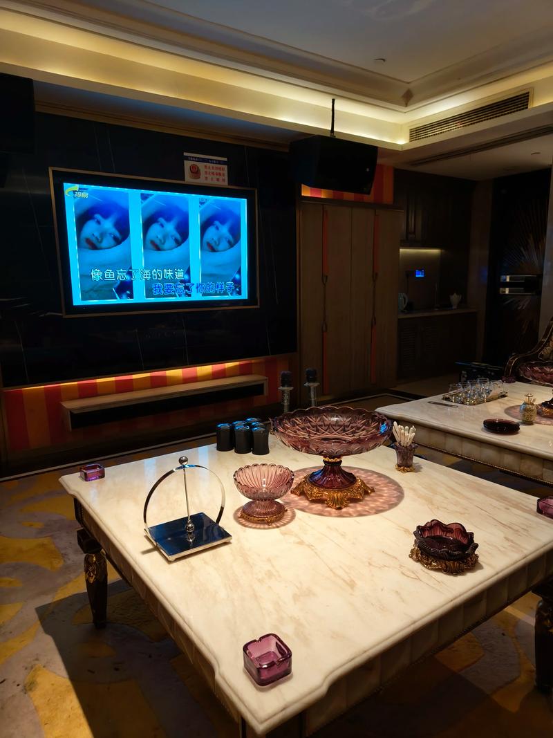 商洛商务ktv开启商务ktv新模式-柞水县ktv预定